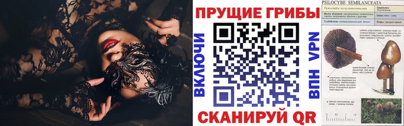 купить   нарко площадка как зайти  Псилоцибиновые грибы Cubensis  Исилькуль 